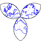Jerusalem trefoil